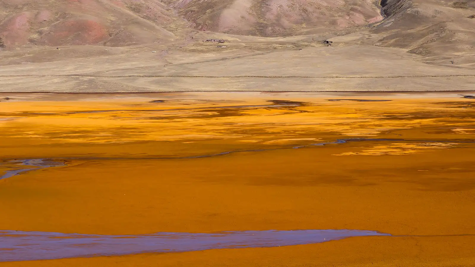 001 | dried up Laguna Jankho Khota | Bolivia
